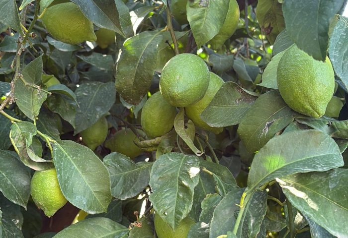 7466CBD3-CE50-44F6-8D25-45DCF62B654B