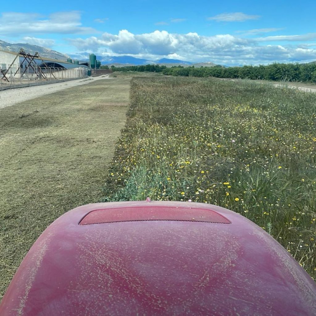 PHOTO-2025-11-24-13-38-46 (2)