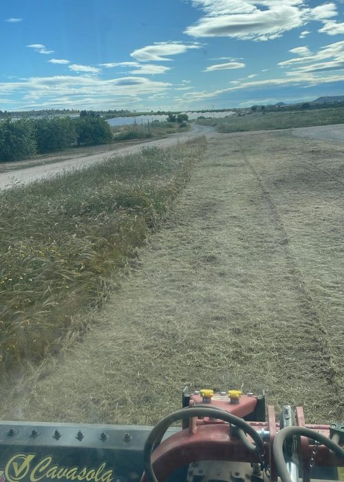 PHOTO-2026-01-19-20-02-43